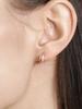 Rosemont Silver Earrings Demilune Ra26B49E