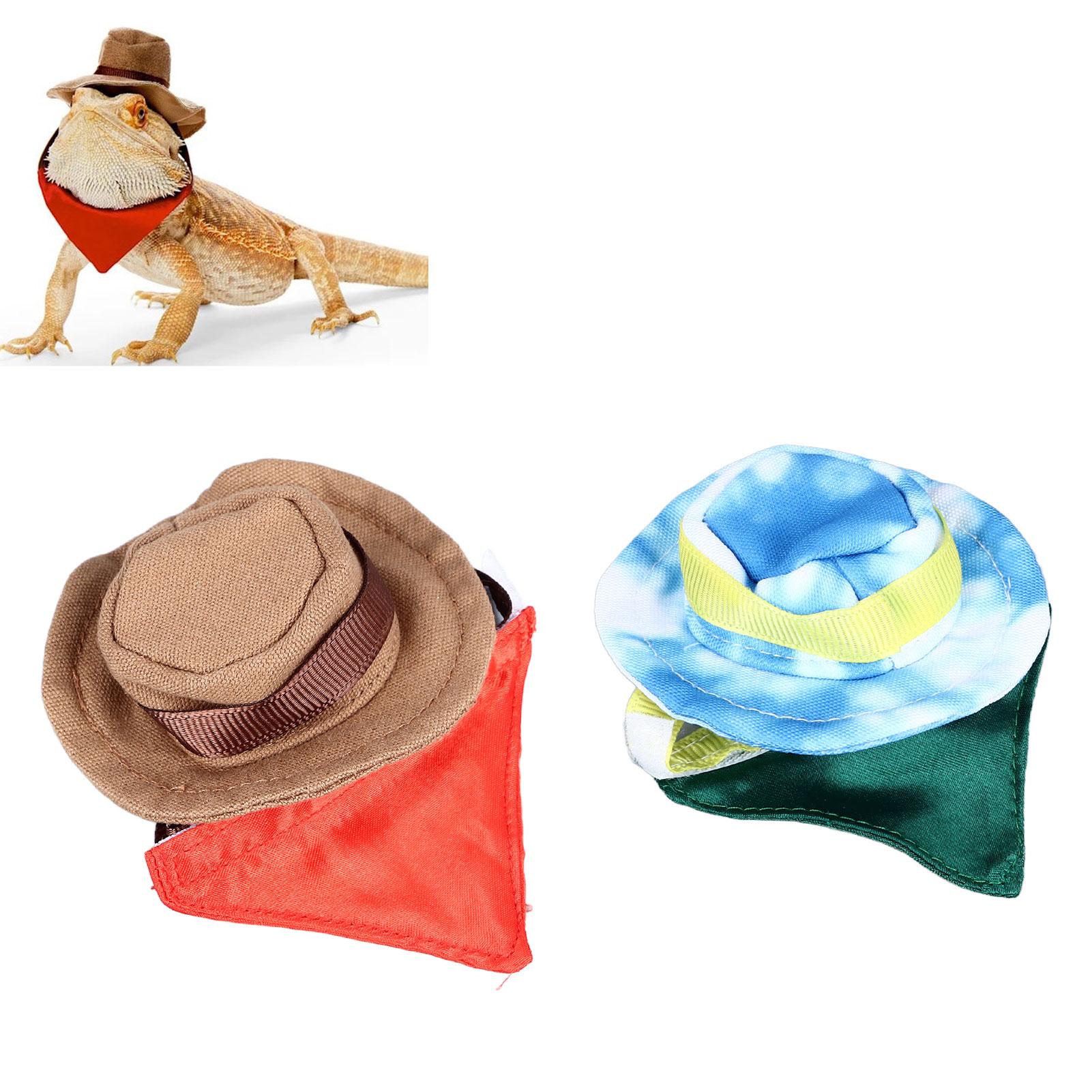 Костюм рептилии на Хэллоуин в виде ковбойской шляпы и банданы с бородатым драконом — фото 12