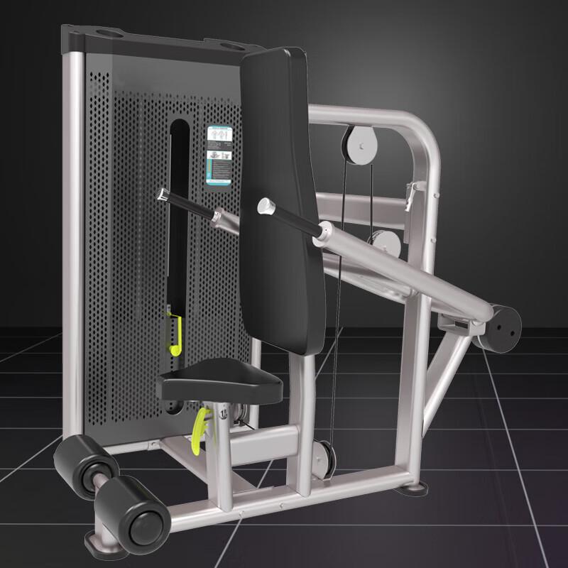 Commercial Triceps & Abdominal Strength Trainer