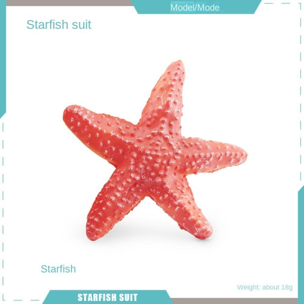 Marine Animals Ocean Animal Figurine Lifelike Sea Life Model  Education Toys