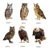 Outdoor Garden Ringing Owl Shape To Deter Birds Hanging Pendant Bird Scarer Gadget with Reflective Strap for Outdoor