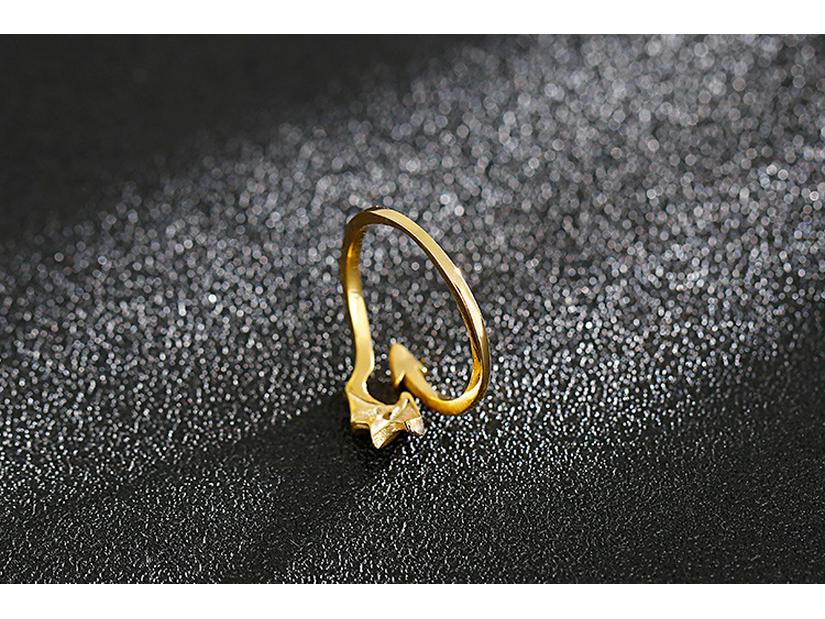 Arrow Wings Stainless Steel Devil's Feather Couple Ring
