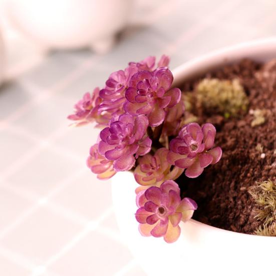 Mini Künstliche Sukkulenten Realistische Fake Kleine Kakteen Pflanzen Bunte Kunststoffe Beflockte Topflose Pflanzen für Garten Blumentopf Küche Heimdeko