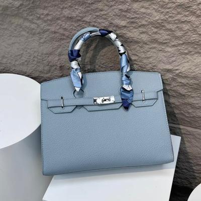 Feeling New Versatile Bag Shoulder Premium Handbag Casual Bag Women's Bag Women's Classic Oblique Platinum