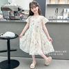Girls' dress 2026 summer new children's summer dress, mid size princess dress, stylish children's clothing trend