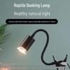 Lampa do wygrzewania żółwi transgraniczna - Światło słoneczne UVA i ogrzewanie dla gadów, standardy europejskie i amerykańskie