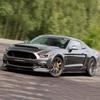 15-17 Ford Mustang Carbon Fiber Front Lip Body Kit