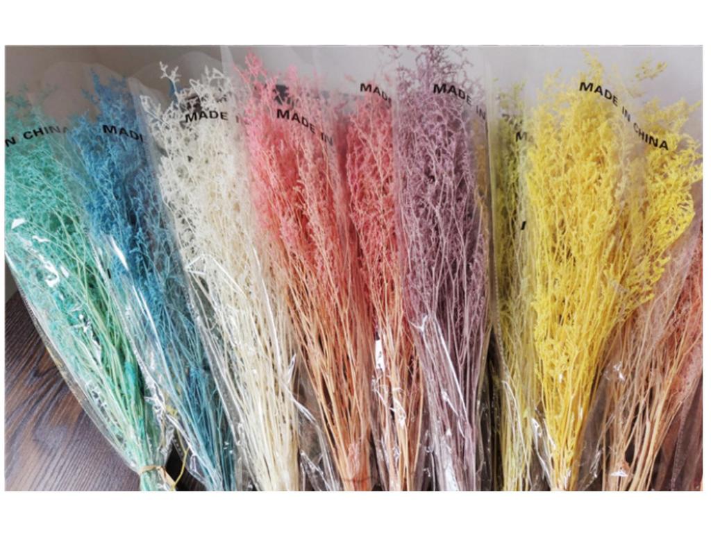 Everlasting White Dried Baby's Breath Flowers for Home Decor and Photography