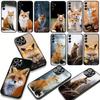 Phone Cover for Apple iPhone 17 16 15 11 Pro XS Max XR 6 7 8 Plus + SE 2020 5 16E Case Anime fox funny foxs cute Casing