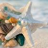 Starfish Conch Shell Refrigerator Magnet 3D Ocean Beach Fridge Magnet Home Kitchen Office Decoration Summer Birthday Gift