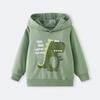 Felpa con Cappuccio e Stampa Dinosauri per Ragazzo, Pullover Casual per l'Uso Quotidiano