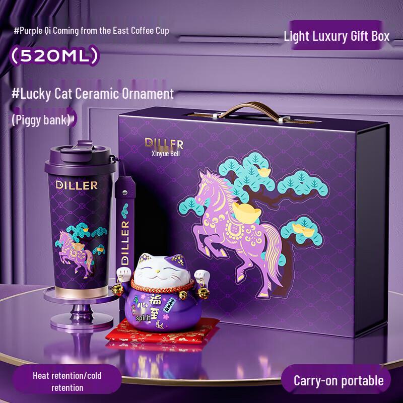 

Dileber Stainless Steel Insulated Water Bottle for Women