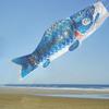 Japanese Carp Windsock Outdoor Hanging Fish Shaped Flag Kite Wind Socks for Garden Backyard Home Sushi Bar Restaurant Decoration