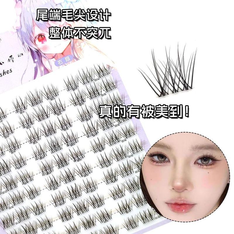 Aimo - Individual Cluster False Eyelashes