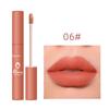 Lipstick, Velvet Lip Makeup for Women, Lip Color