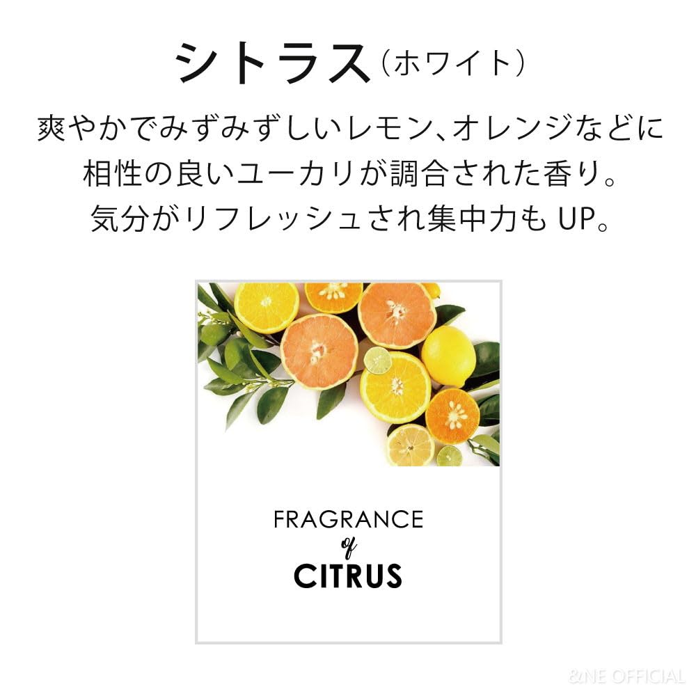 Ceramic Reed Diffuser KOTA Kaku Made In Japan Mino Ware Simple Stylish Cute Home Decor Aroma Reed Interior Vase Fragrance Gift Present Modern Monotone