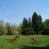 Dinosaur Decorative Art Silhouette Metal Animal Silhouette Art Courtyard Decorate