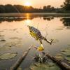 Floating Bait Frog Lure Double Propellers Soft Frog Lure Bass Fishing Lures  Bass Fishing
