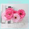 Bolus Jamesonii Gerbera Flower Artificial Plant Ornament For Home Decor