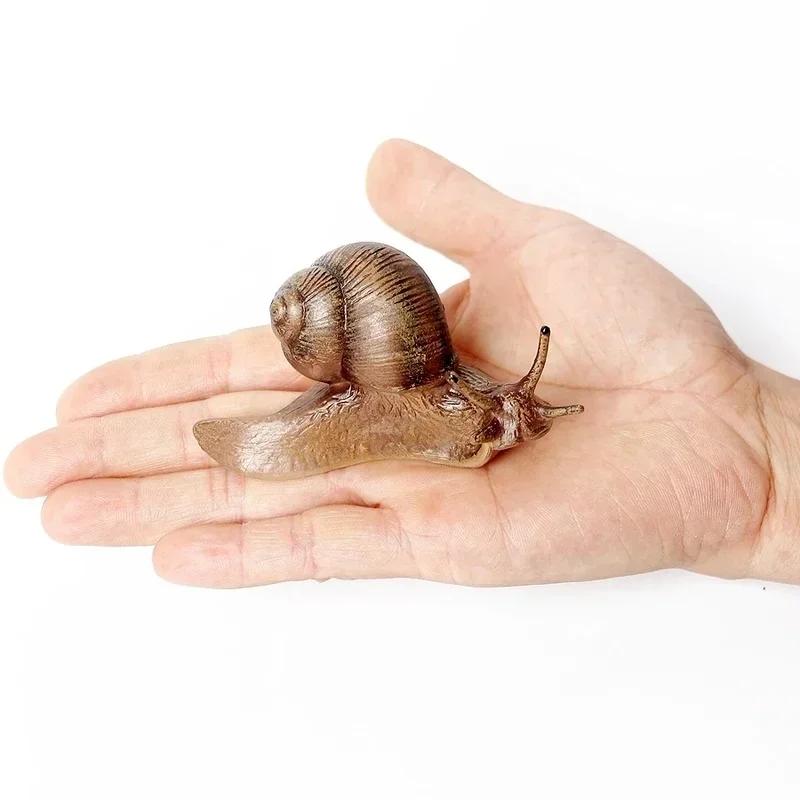 Realistic Snail Growth Cycle Model Animal Model Snail Life Cycle Model Miniature Garden Decoration Collector Educational Toy