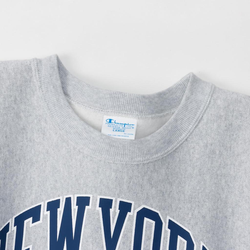 Champion Long Sleeve Graphic Print REVERSE Crew Neck Silver Men's WEAVE® Sweatshirt, Gray, C3-A031