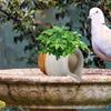 Ceramic Water Fountain Jar for Indoor Living Room Outdoor Garden Decorative Circulating Fountain Decor Water Feature Landscape