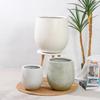 MOJY Creative Large Diameter Round Cement Ceramic Planter