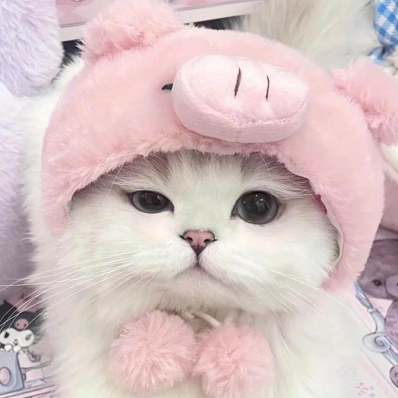 Lustige und verspielte Katzenkopfschmuckstücke lassen Ihre pelzigen Freunde aus der Menge herausstechen.