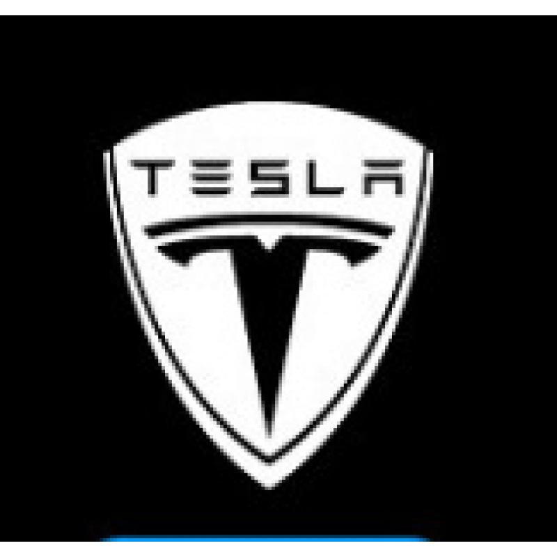 Anwendbare Tesla Model S/X/3 Willkommens-Türprojektorleuchte