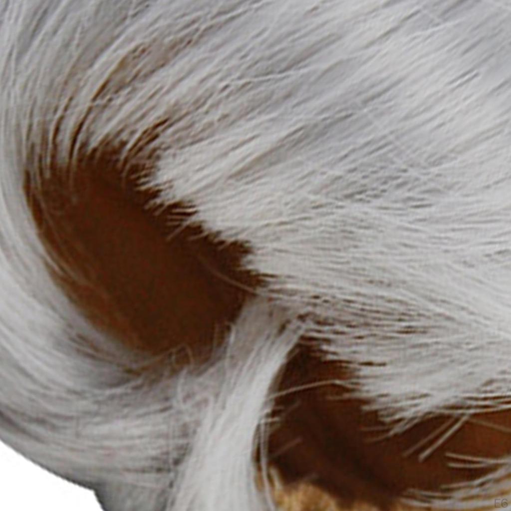 Doll Hair Accessories for Ob11 Cosplay Props