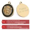 Benutzerdefinierte Hundemarke Personalisierte Hundemarke Golden Retriever Schild Retro Haustierhalsband Zubehör Name DIY Für Welpen Halsketten Anhänger