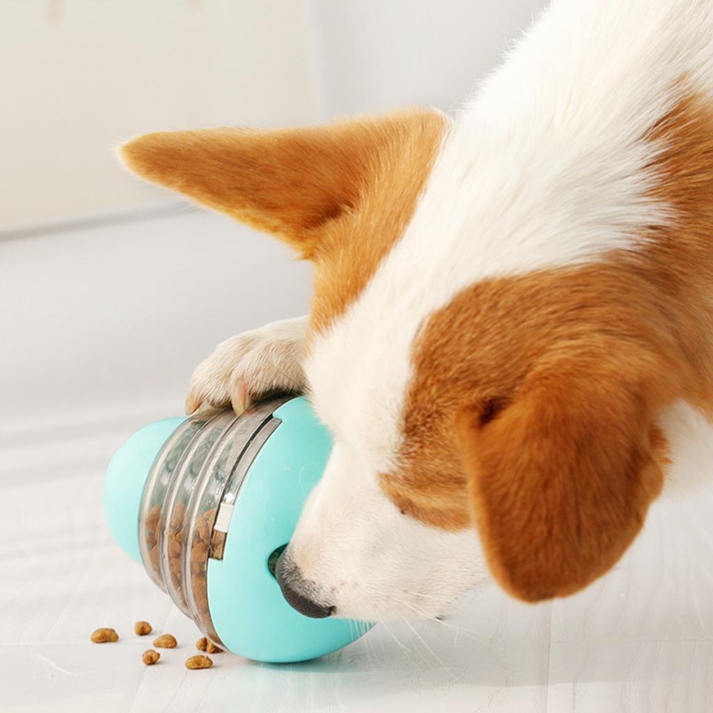 automatic dog toy dispenser