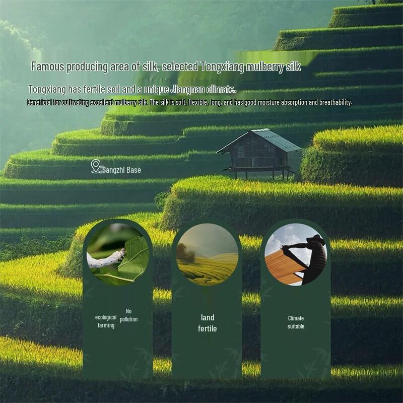 Mercury 100% Mulberry Silk Four Seasons Two-in-One Quilt