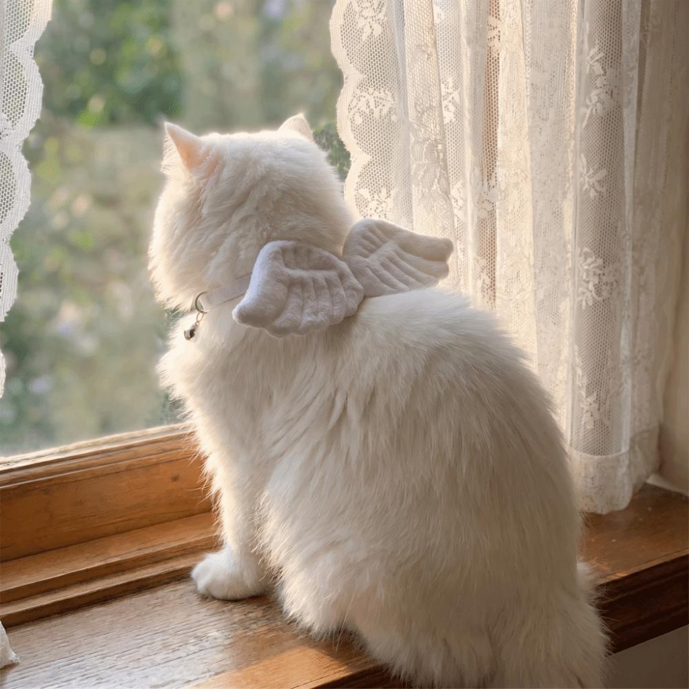 Lightweight Pet Collar Adjustable Pet Dressing Sweet Plush Wings Cat Collar Halloween Christmas