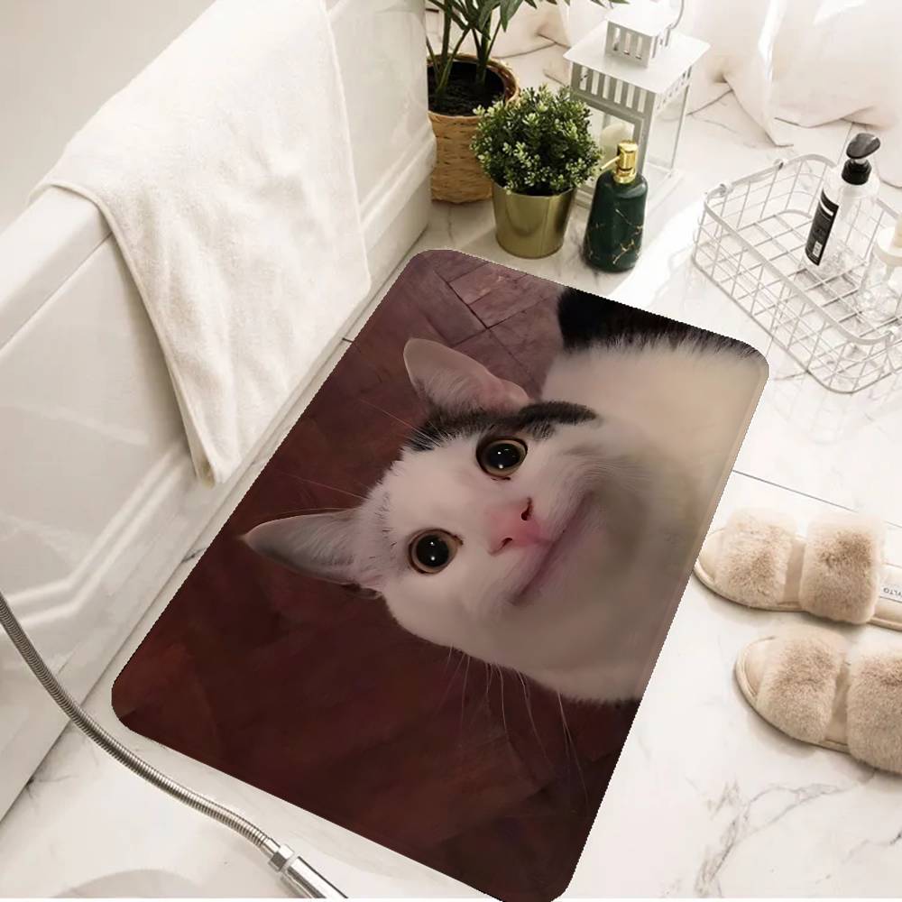 Funny CAT Meme Bathroom Mat Kids Room Bedroom Decoration Balcony Anti Slip Doormat Living Room Welcome Rug