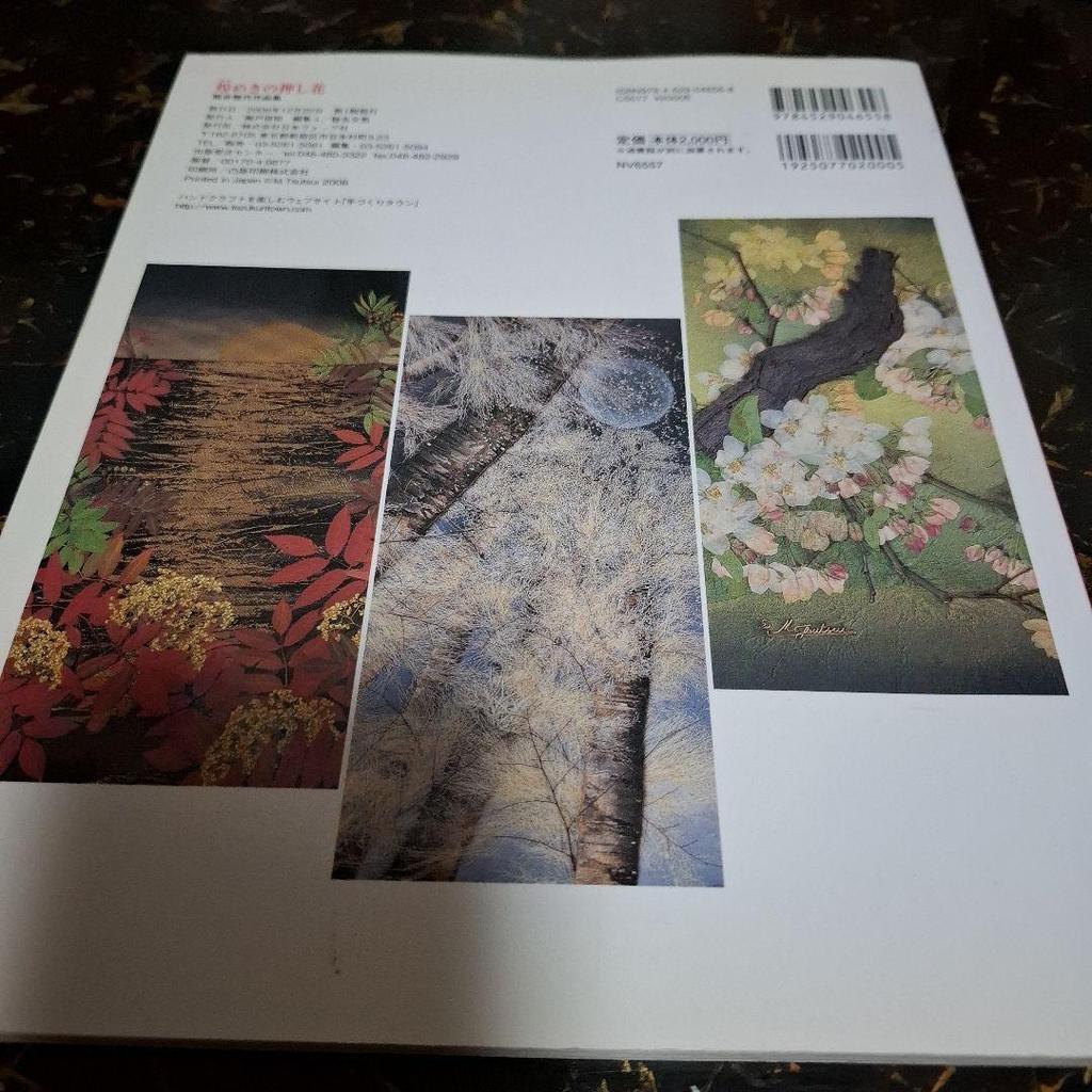 [USED] Sparkling Pressed Flowers: Masayo Tsutsui's Works