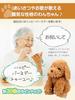 Voice-activated plush toy for adults [Talking Toy Poodle] Easy to operate even for seniors. Perfect gift. Phone support available.