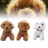 Mignon Porte-clés Peluche Chien Teddy Pour Sacs Et Clés Animal en Peluche Doux