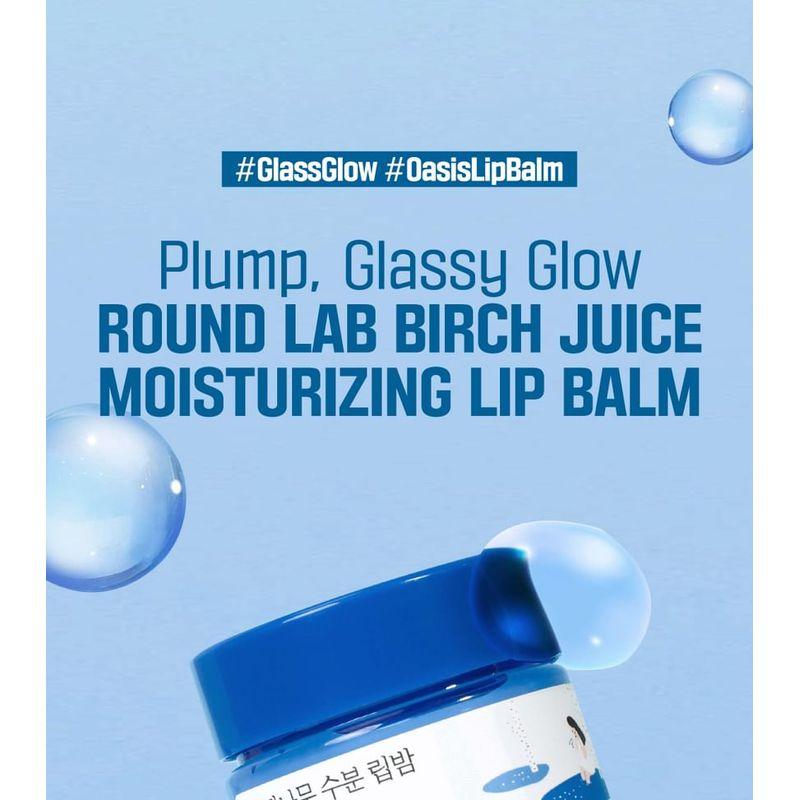 ROUND LAB - Birch Juice Moisturizing Lip Balm