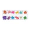 12 Colors DIY Nail Art Dried Flowers 3D Flower Decoration Nails Stickers Tips