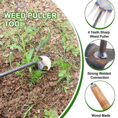Strumento per diserbo Manico lungo in legno Testa appuntita Raccolta di erbacce Dispositivo per diserbo in acciaio inossidabile per risparmiare manodopera Sradicamento del giardino Attrezzo per erba da giardinaggio Diserbatore