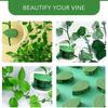 Plant Fixture Clip Plant Climbing Wall Self-Adhesive Fastener Tied Fixture Vine Buckle Hook Garden Plant Wall Climbing