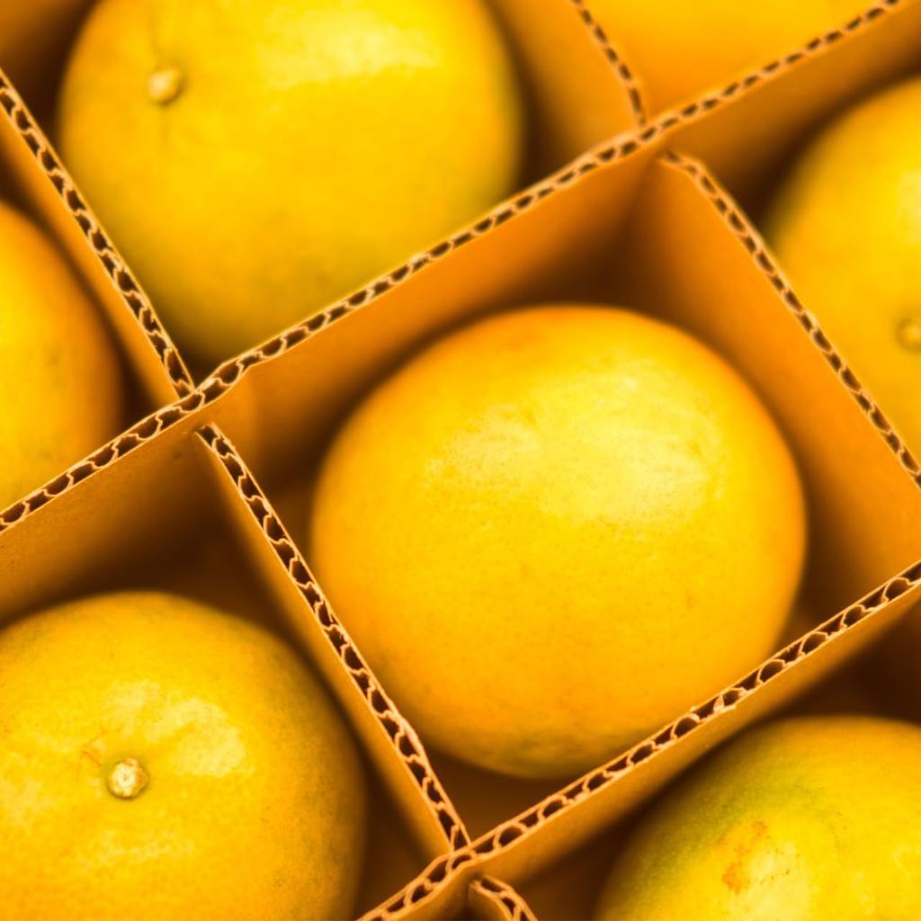 5Set Box Cardboard Divider Kit: 13x3in Shipping Cardboard, 4x4 Packing Glass Divider Packing Box Tray Corrugated Paper