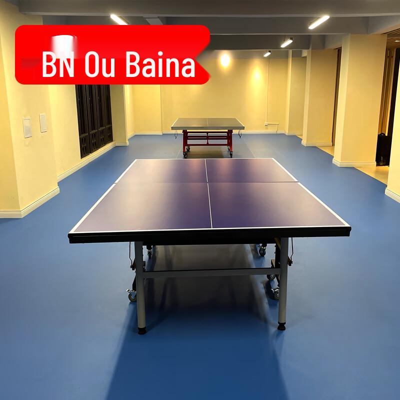 Oubaina Indoor Training Table Tennis Table