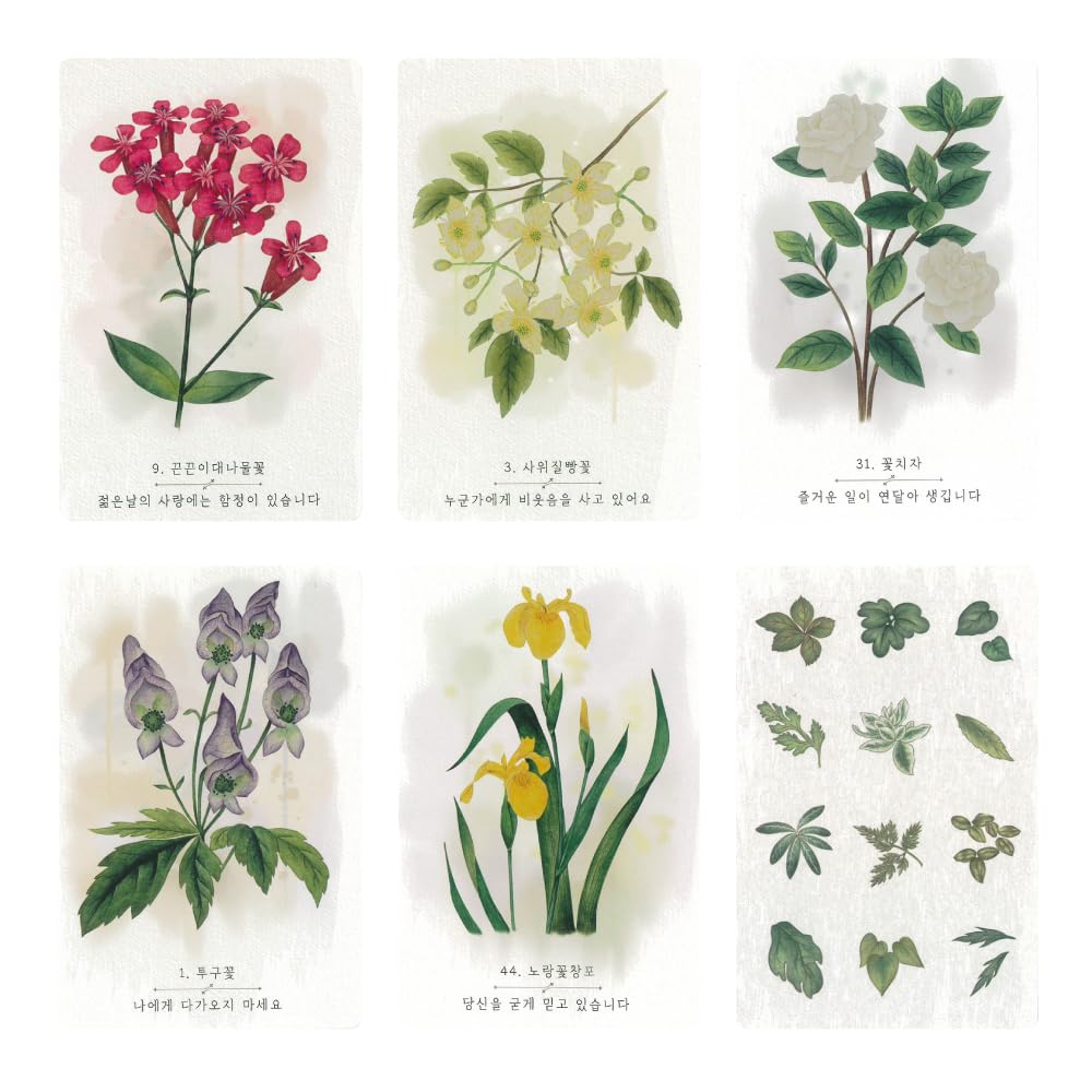 Wildflower Oracle Cards (New Edition) | PRIME MUSE | 60 Cards with Downloadable Japanese Instruction Manual [Authentic]