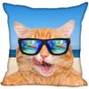 Bedroom Home Office Decor Pillowcase Square  Funny Cat Animal