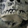 Halloween decorations, venue layout props, skulls, skeletons, ghosts on the ground