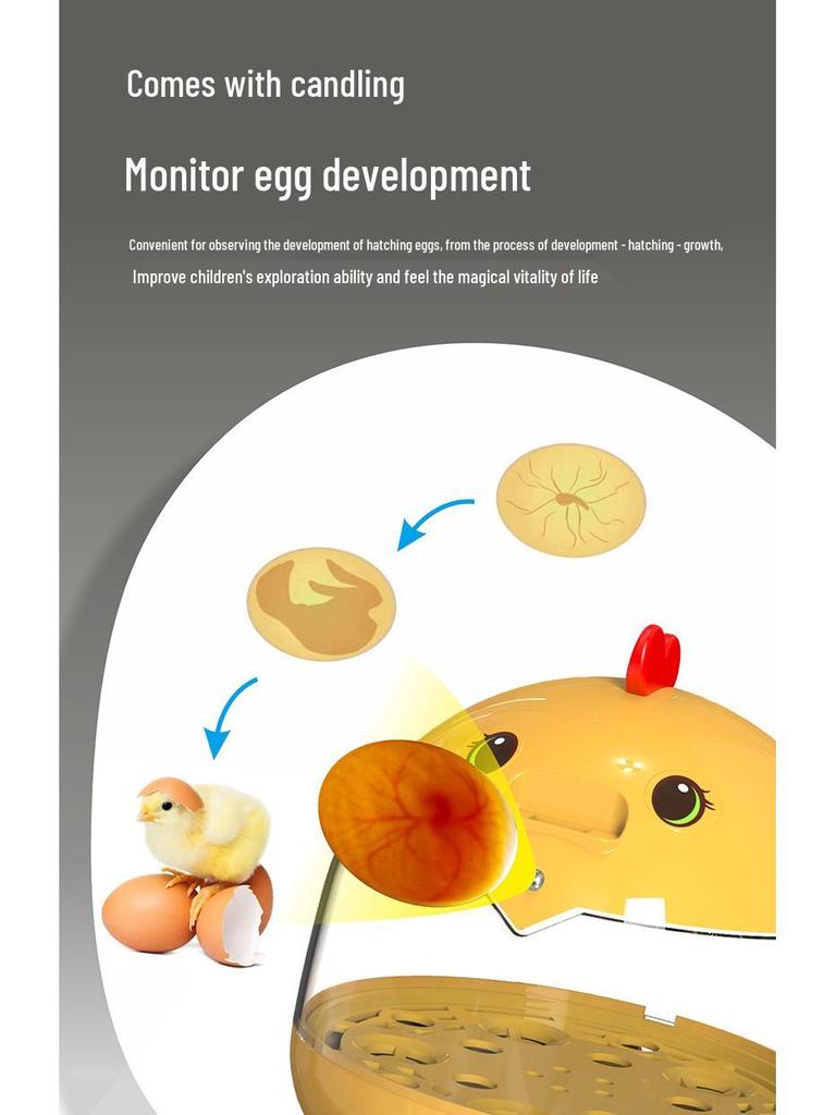Automatic Mini Egg Incubator for Kids - Ideal for Quail, Chick, and Bird Eggs