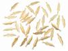 ALIMITOPIA 100pcs Alloy Feather Charms Pendants Easter Angel Wing Feather Dangle Charm for DIY Crafting Bracelet Necklace Jewelry Making Findings