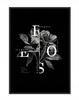 Obraz Plakat W Ramie 53x73 Cm Rose P1080